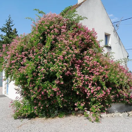 De Marcureau Casa de Férias Louchy-Montfand