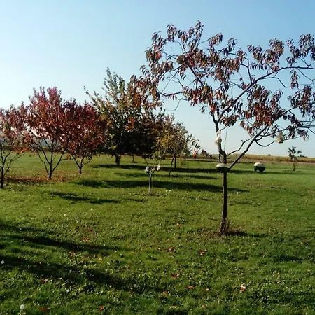 度假居 De Marcureau *